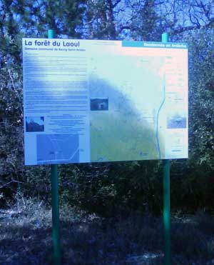 IMG/jpg/Sans-titre-1-10.jpg