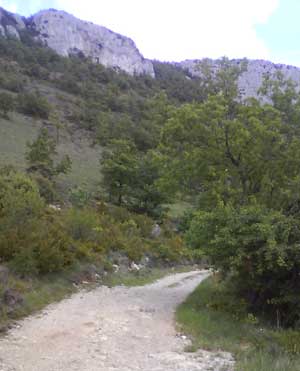 IMG/jpg/Sans-titre-1-15.jpg