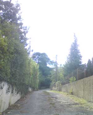 IMG/jpg/Sans-titre-1-24.jpg