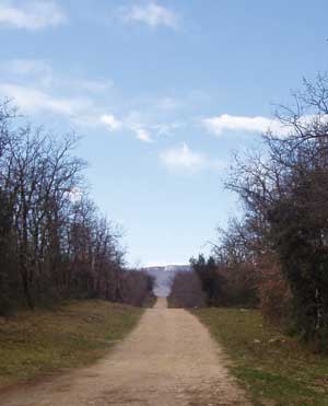 IMG/jpg/Sans-titre-10-2.jpg