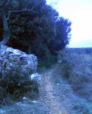 IMG/jpg/Sans-titre-10-4.jpg