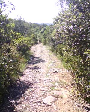 IMG/jpg/Sans-titre-11-12.jpg