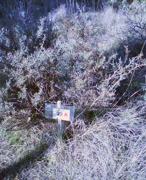 IMG/jpg/Sans-titre-11-5.jpg
