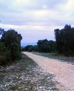 IMG/jpg/Sans-titre-11.jpg