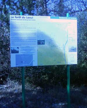 IMG/jpg/Sans-titre-12-2.jpg