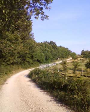 IMG/jpg/Sans-titre-12-8.jpg
