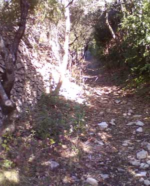 IMG/jpg/Sans-titre-13-7.jpg