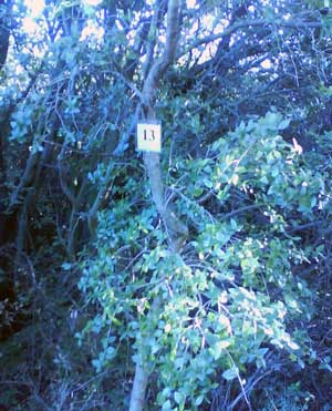 IMG/jpg/Sans-titre-14-4.jpg