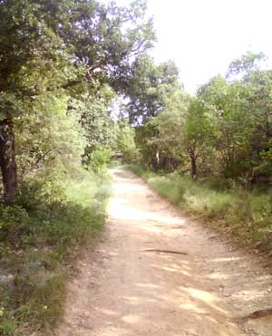 IMG/jpg/Sans-titre-14-9.jpg