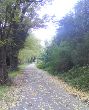 IMG/jpg/Sans-titre-15-13.jpg
