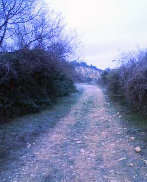 IMG/jpg/Sans-titre-15-3.jpg