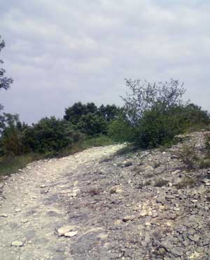 IMG/jpg/Sans-titre-15-9.jpg