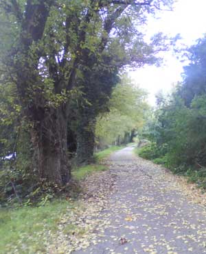 IMG/jpg/Sans-titre-16-10.jpg