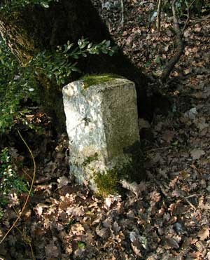 IMG/jpg/Sans-titre-16-2.jpg