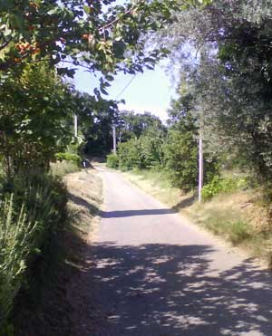 IMG/jpg/Sans-titre-16-7.jpg