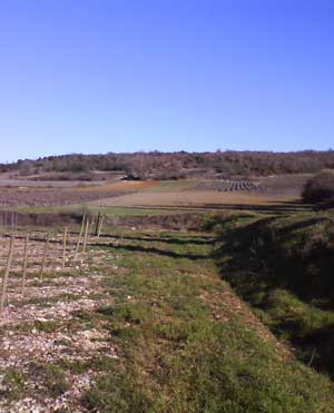 IMG/jpg/Sans-titre-17-5.jpg