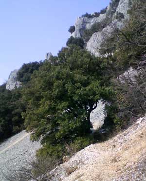 IMG/jpg/Sans-titre-18-5.jpg