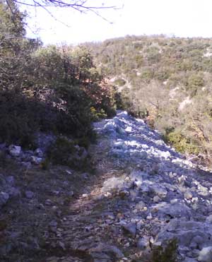IMG/jpg/Sans-titre-2-13.jpg