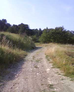 IMG/jpg/Sans-titre-2-14.jpg