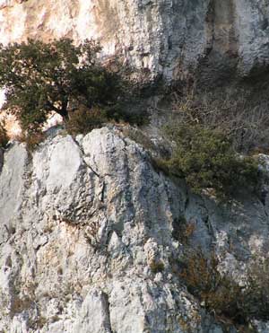 IMG/jpg/Sans-titre-21-2.jpg