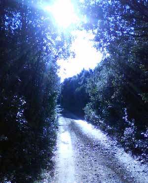 IMG/jpg/Sans-titre-23-2.jpg