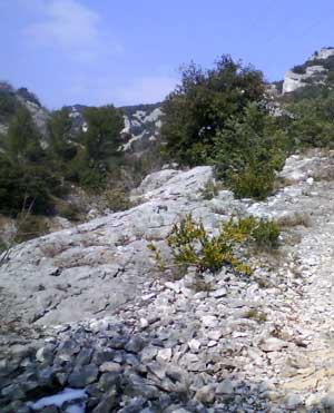 IMG/jpg/Sans-titre-23-4.jpg