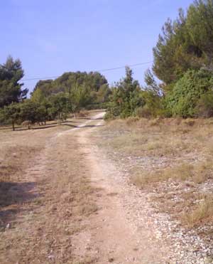 IMG/jpg/Sans-titre-3-12.jpg