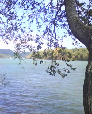 IMG/jpg/Sans-titre-3-17.jpg