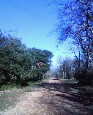 IMG/jpg/Sans-titre-4-3.jpg