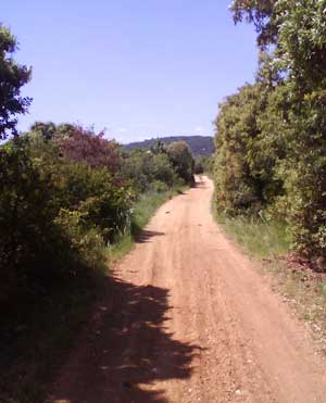 IMG/jpg/Sans-titre-4-7.jpg