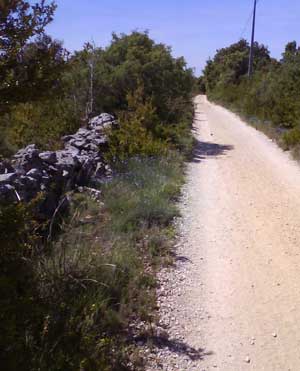 IMG/jpg/Sans-titre-4-9.jpg