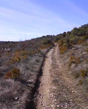 IMG/jpg/Sans-titre-5-11.jpg