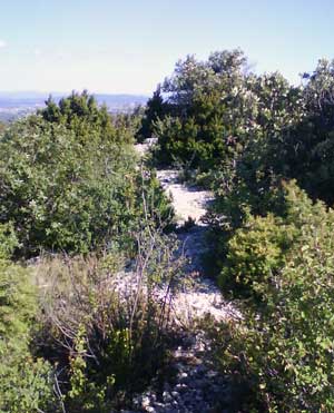 IMG/jpg/Sans-titre-5-14.jpg