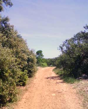 IMG/jpg/Sans-titre-5-8.jpg