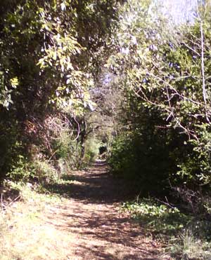 IMG/jpg/Sans-titre-6-11.jpg