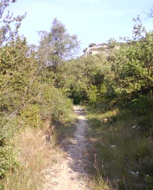 IMG/jpg/Sans-titre-6-12.jpg