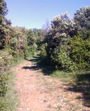IMG/jpg/Sans-titre-6-13.jpg