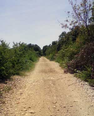IMG/jpg/Sans-titre-6-8.jpg