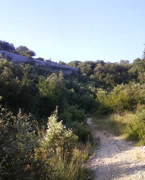 IMG/jpg/Sans-titre-7-11.jpg