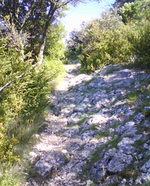 IMG/jpg/Sans-titre-7-13.jpg
