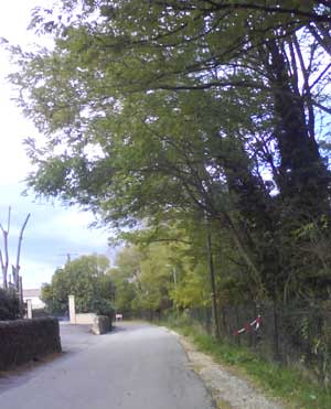 IMG/jpg/Sans-titre-7-15.jpg