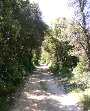 IMG/jpg/Sans-titre-7-7.jpg