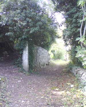 IMG/jpg/Sans-titre-8-14.jpg