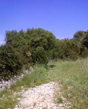 IMG/jpg/Sans-titre-8-6.jpg